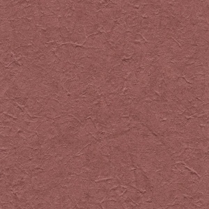 Chimayo Chile Pepper