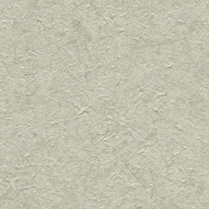 Chimayo Meadow Grass