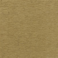 Chipper Meadow Grass