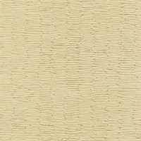 Chipper Summer Morning