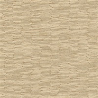 Chipper Winter Wheat