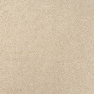 Circumstance Sand Drift