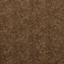 Citron Ceiling Bronze Patina