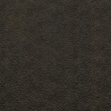 Citron Ceiling Gunmetal