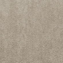 Citron Ceiling Latte