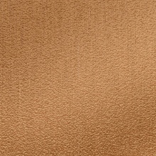 Citron Ceiling New Penny