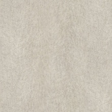 Classic Wood Birds Eye Maple 1