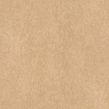 Classic Wood Birds Eye Maple 1