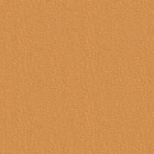 Classic Wood Birds Eye Maple 2