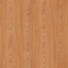 Classic Wood Japanese Elm Flat Grain 1