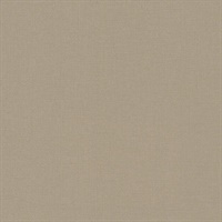 Coast To Coast Putty