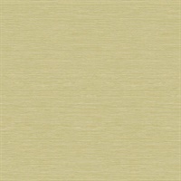 Coastal Hemp 54 Aloe