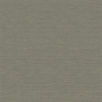 Coastal Hemp 54 Graphite