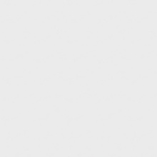 Color Solid Color Coated Gloss