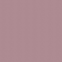 Color Solid Color Eggshell Matte