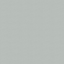 Color Solid Color Eggshell Matte