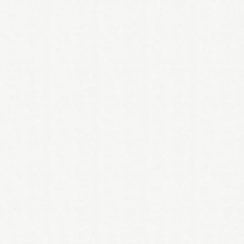 Color Solid Color Eggshell Matte