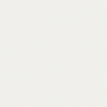 Color Solid Color Eggshell Matte