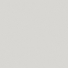 Color Solid Color Eggshell Matte