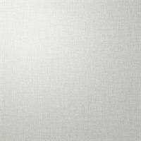 Conundrum Silver Secret Classic Linen