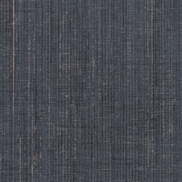 Coordinates Nocturnal Sky