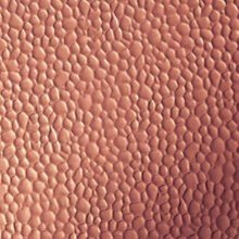 Copper Hammered Copper