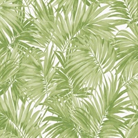 Tropical Palm Leaf Spring Green