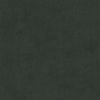 Coronado Academy Green