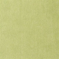 Coronado Retro Green