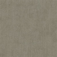 Coronado Silver Dust