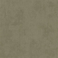 Coronado Willow Tree