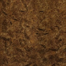 Crack Me Up Dimension Wall Bronze Patina