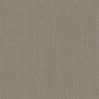 Cruise Control Graphite