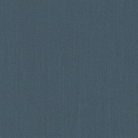 Cruise Control Indigo