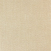 Currents Honey Wall Protection