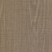 Deep Woods Driftwood