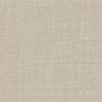 Desert Denim Worn Path