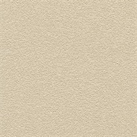 Desert Sand Cream Beige