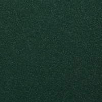 Desert Sand Deep Forest