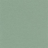 Desert Sand Dusty Miller