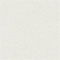 Desert Sand Light Fog