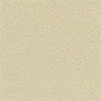 Desert Sand Neutral Beige