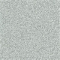 Desert Sand Quicksilver