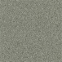 Desert Sand River Pebble