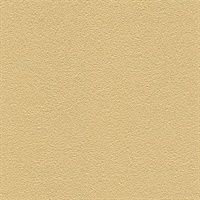 Desert Sand Shoreline