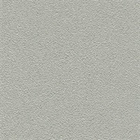 Desert Sand Silver Stone