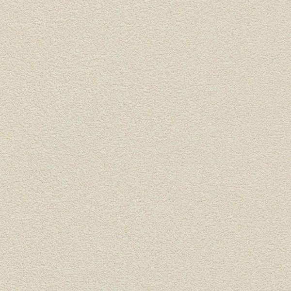 Desert Sand Soft Tan