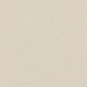 Desert Sand Soft Tan