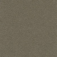 Desert Sand Uncharted