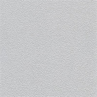 Desert Sand Winter Mist